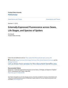 Externally-Expressed Fluorescence Across Sexes, Life Stages, and Species of Spiders
