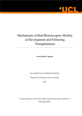 Mechanisms of Rod Photoreceptor Motility in Development and Following Transplantation
