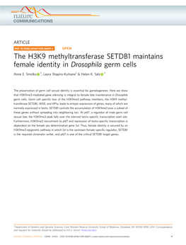 The H3K9 Methyltransferase SETDB1 Maintains Female Identity in Drosophila Germ Cells