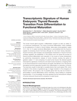 Transcriptomic Signature of Human Embryonic Thyroid Reveals Transition from Differentiation to Functional Maturation
