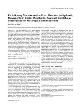 Evolutionary Transformation from Muscular to Hydraulic Movements in Spider (Arachnida, Araneae) Genitalia: a Study Based on Histological Serial Sections
