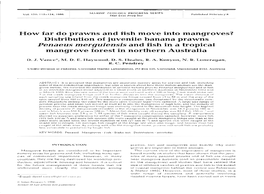 Distribution of Juvenile Banana Prawns Penaeus Merguiensis and Fish in a Tropical Mangrove Forest in Northern Australia