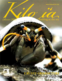 Kiloia 2010 Summer.Pdf