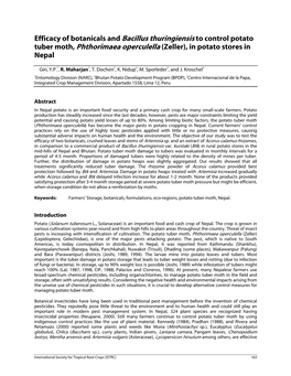 Efficacy of Botanicals Against the Potato Tuber Moth (Phthorimaea