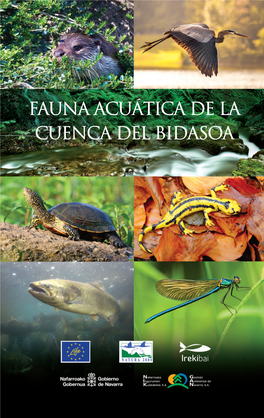 FAUNA ACUÁTICA DE LA CUENCA DEL BIDASOA INTRODUCCION Copia:Maquetación 1 18/12/18 14:19 Página 1