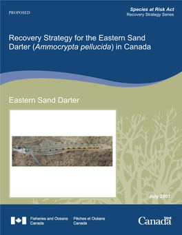 Recovery Strategy for the Eastern Sand Darter (Ammocrypta Pellucida) in Canada