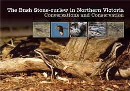 The Bush Stone-Curlew in Northern Victoria Conversations and Conservation Citation: Sleigh, S., Williams, L