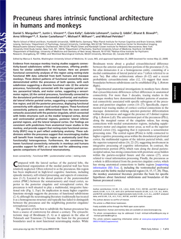 Precuneus Shares Intrinsic Functional Architecture in Humans and Monkeys