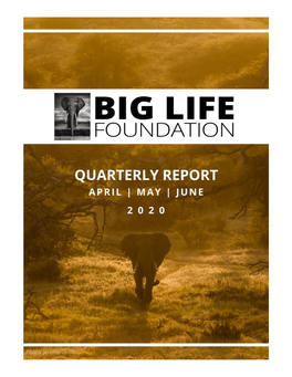 Blf Quarterly Report