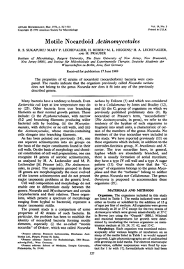 Motile Nocardoid Actinomycetales R