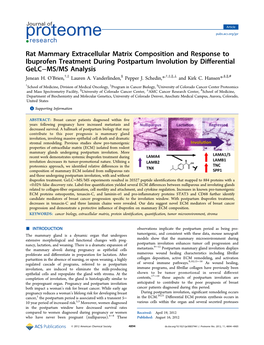 Rat Mammary Extracellular Matrix Composition and Response to Ibuprofen Treatment During Postpartum Involution by Differential Ge