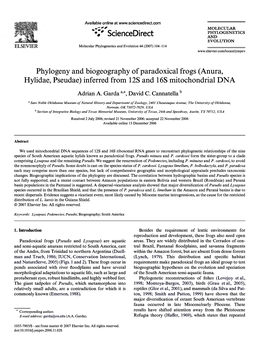 (Anura, Hylidae, Pseudae) Inferred from 12S and 16S Mitochondrial DNA