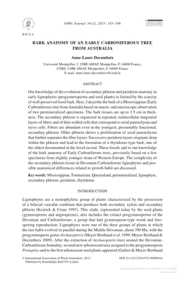 Bark Anatomy of an Early Carboniferous Tree from Australia