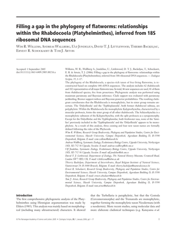 Filling a Gap in the Phylogeny of Flatworms: Relationships Within the Rhabdocoela (Platyhelminthes), Inferred from 18S Ribosomal