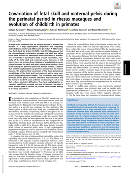 Covariation of Fetal Skull and Maternal Pelvis During the Perinatal Period in Rhesus Macaques and Evolution of Childbirth in Primates