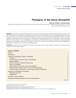 Phylogeny of the Genus Drosophila