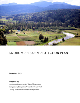 Snohomish Basin Protection Plan