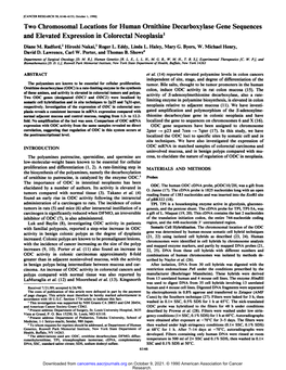 Two Chromosomal Locations for Human Ornithine Decarboxylase Gene Sequences and Elevated Expression in Colorectal Neoplasia1