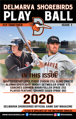 DELMARVA SHOREBIRDS PLAY BALL Fly Together Issue 1