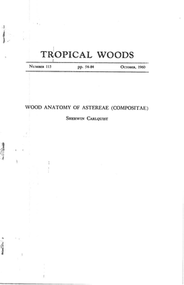 Tropical Woods