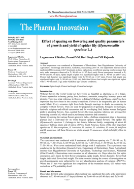 Effect of Spacing on Flowering and Quality Parameters of Growth and Yield of Spider Lily (Hymenocallis Speciosa L.)