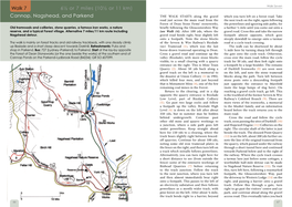 Cannop, Nagshead, and Parkend Walk 7 6½ Or 7 Miles (10½ Or 11