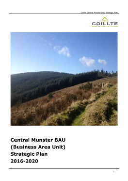 B5 Central Munster BAU Strategic Plan 2016-2020