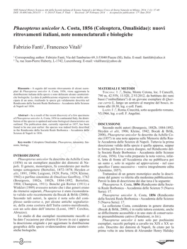 Phaeopterus Unicolor A. Costa, 1856 (Coleoptera, Omalisidae): Nuovi Ritrovamenti Italiani, Note Nomenclaturali E Biologiche