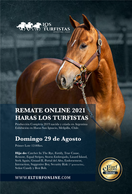 REMATE ONLINE 2021 HARAS LOS TURFISTAS Producción Completa 2019 Nacida Y Criada En Argentina Exhibición En Haras San Ignacio, Melipilla, Chile