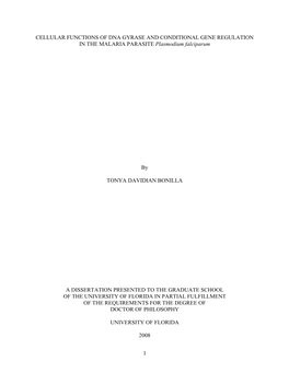 University of Florida Thesis Or Dissertation Formatting