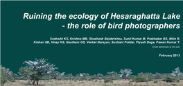 Ruining the Ecology of Hesaraghatta Lake - the Role of Bird Photographers