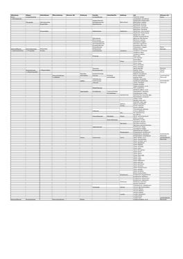 Abteilung Klasse Unterklasse Überordnung Diverse