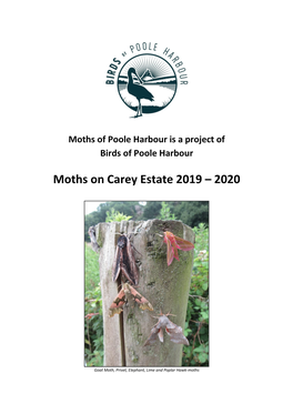 Moths on Carey Estate 2019 – 2020