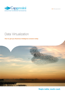 Data Virtualization