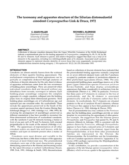 The Taxonomy and Apparatus Structure of the Silurian Distomodontid Conodont Coryssognathus Link & Druce, 1972