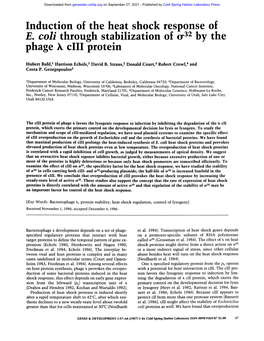 Induction of the Heat Shock Response of E. Coli Through Stabilization of ¢R32 by the Phage Ciii Protein