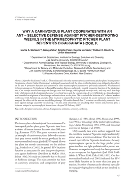 Why a Carnivorous Plant Cooperates with an Ant – Selective Defense Against Pitcher-Destroying Weevils in the Myrmecophytic Pitcher Plant Nepenthes Bicalcarata Hook