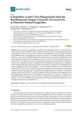 Crinipellins a and I, Two Diterpenoids from the Basidiomycete Fungus Crinipellis Rhizomaticola, As Potential Natural Fungicides