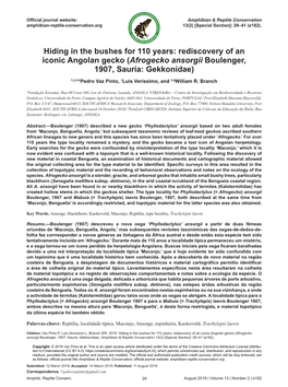 Rediscovery of an Iconic Angolan Gecko (Afrogecko Ansorgii Boulenger, 1907, Sauria: Gekkonidae) 1,2,5,*Pedro Vaz Pinto, 1Luis Veríssimo, and 3,4William R