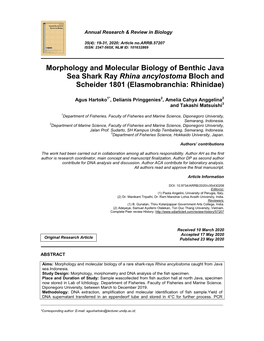 Morphology and Molecular Biology of Benthic Java Sea Shark Ray Rhina Ancylostoma Bloch and Scheider 1801 (Elasmobranchia: Rhinidae)