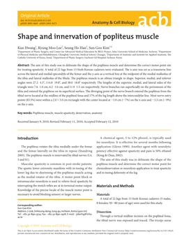 Shape and Innervation of Popliteus Muscle