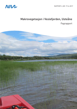 Makrovegetasjon I Veslefjorden, Usteåne Fagrapport Foto: Marit Mjelde Foto: NIVA 7116-2017