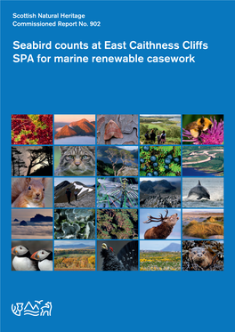 Seabird Counts at East Caithness Cliffs SPA for Marine Renewable Casework