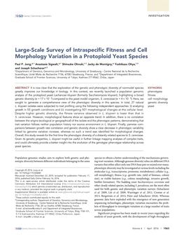 Large-Scale Survey of Intraspecific Fitness and Cell Morphology Variation in a Protoploid Yeast Species