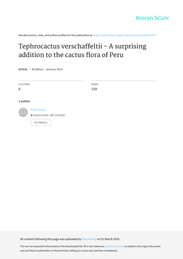 Tephrocactus Verschaffeltii in Peru at 3660M