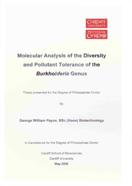 Molecular Analysis of the Diversity and Pollutant Tolerance of the Burkholderiagenus