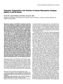 Promoter Organization (MAO) a and B Genes and Activity of Human