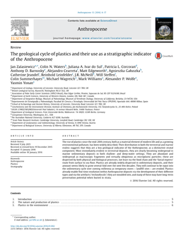 Cycle of Plastics Anthropocene.Pdf