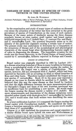 Diseases of Rose Caused by Species of Conio- Thyrium in the United States ^