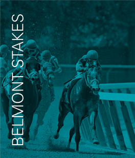 Belmont Stakes